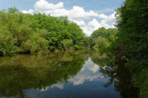 photo Sortie nature et projection: la vie dans les plans d'eau.