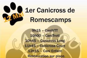 Canicross