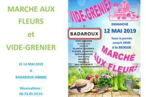 photo MARCHE AUX FLEURS et VIDE GRENIER