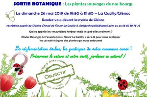 Sortie botanique : Les plantes sauvages de nos bourgs