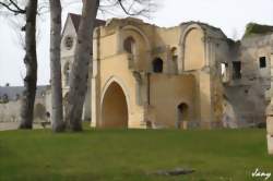 Déjeuner sur l'herbe