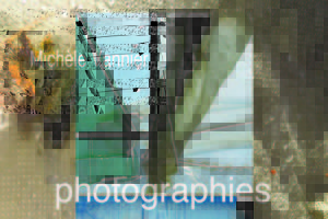 photo Exposition Cocooned (suite)