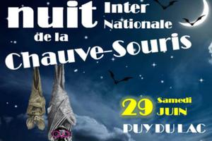 photo Nuit Internationale de la chauve souris