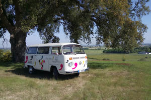 Escapade dans le vignoble et visite de la cave