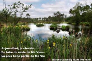 photo Marche coaching 