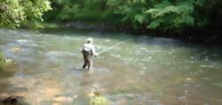 Concours de pêche