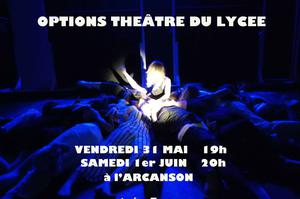 photo options théâtre du lycée