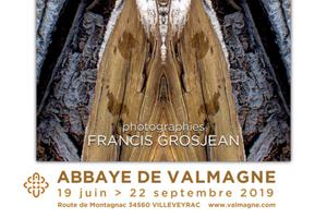 photo L'abbaye de Valmagne Expose Nature Divinity de Francis Grosjean