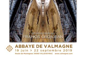 L'abbaye de Valmagne Expose Nature Divinity de Francis Grosjean