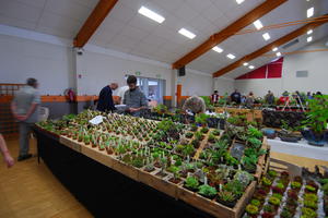 SALON DES PLANTES EXOTIQUES