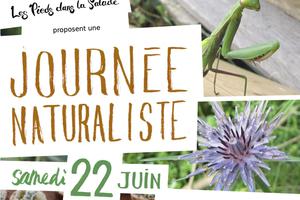 Journée naturaliste et cuisine sauvage