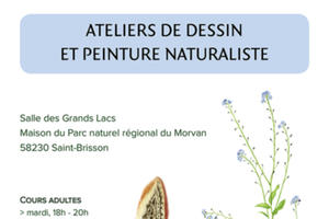 photo Cours de dessin et peinture naturaliste à la Maison du Parc naturel régional du Morvan 