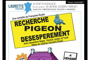 photo Recherche Pigeon Désespérément