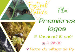 photo Projection en plein air du film 