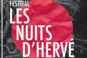 Les nuits d'Hervé