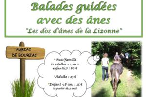 photo Balades guidées avec des ânes