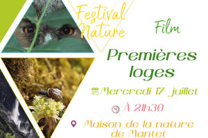 Projection du film 