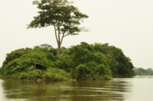 photo Congo