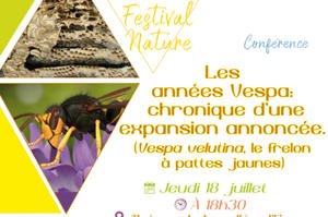 photo Conférence sur le Frelon asiatique