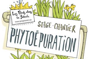 Stage Phyto-épuration