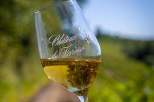 Balade et dégustation au coeur du vignoble à Brissac (49), au château La Varière.