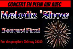 Concert + Feu Artifices