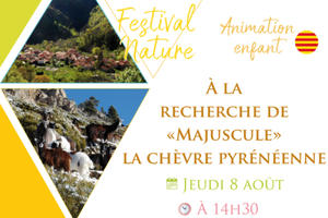photo Animation enfant 