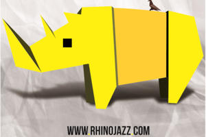 Rhino Jazz(s) Festival 2019