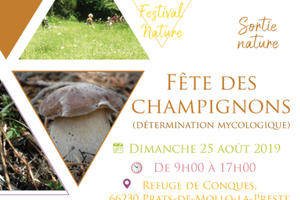 Fête des champignons