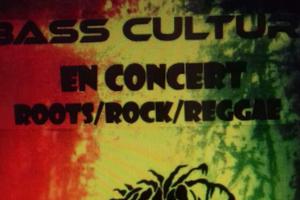 photo Bass Culture soirée reggae