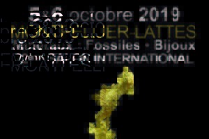 photo Bourse Minéraux, fossiles, pierres taillées, bijoux Lattes