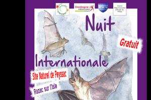 photo Nuit de la chauve-souris