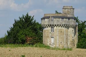 Visite guidée : la Tour d'Abain