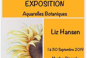 photo Expo Aquarelles Botaniques