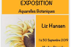 photo Expo Aquarelles Botaniques