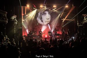 photo THE FLOYD - Concert hommage aux PINK FLOYD