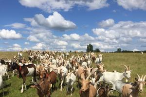 photo Portes Ouvertes au Refuge des Croq’épines