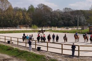 Balades à poney