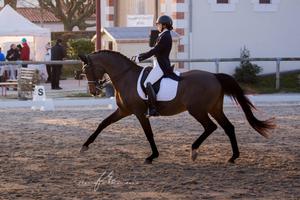 Concours National de Dressage