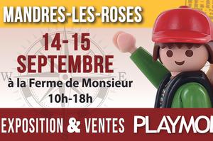 3ème Exposition & Vente de Playmobil à Mandres-Les-Roses