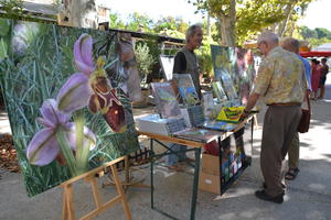 photo Fête de l'AOP Lucques du Languedoc