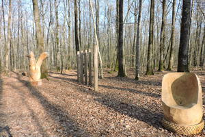 photo Visite guidée - Forêt de Vouillé