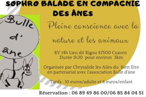 Sophro balade en compagnie des ânes