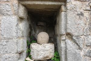 photo Les Journées des Plantes à Châlus