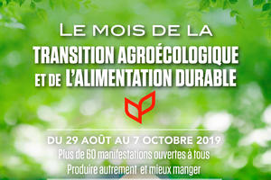 Concours photo Art'groécologie - Montpellier Métropole