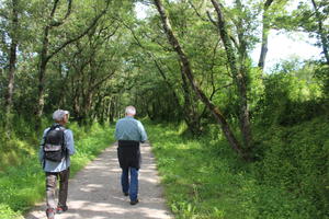 photo Observatoire Participatif Bocage