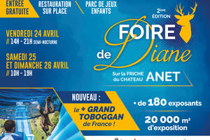 FOIRE DE DIANE