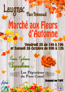 photo marché de fleurs d'automne