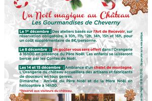 Un Noël magique au Château de Cheverny !