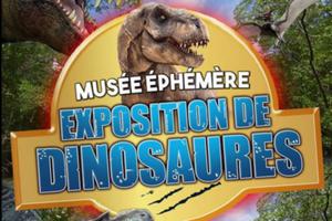 photo Le Musée Ephémère à Nîmes